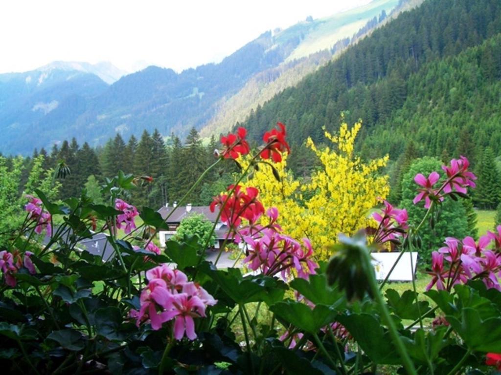 HäselgehrHaus Alpina公寓 外观 照片