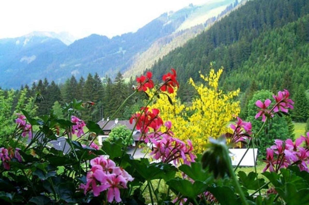 HäselgehrHaus Alpina公寓 外观 照片