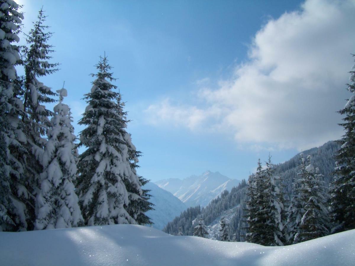 HäselgehrHaus Alpina公寓 外观 照片